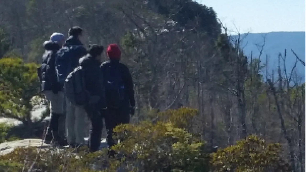 Four people with their backs to the camera staring out to the mountain ridges beyond their viewpoint. 